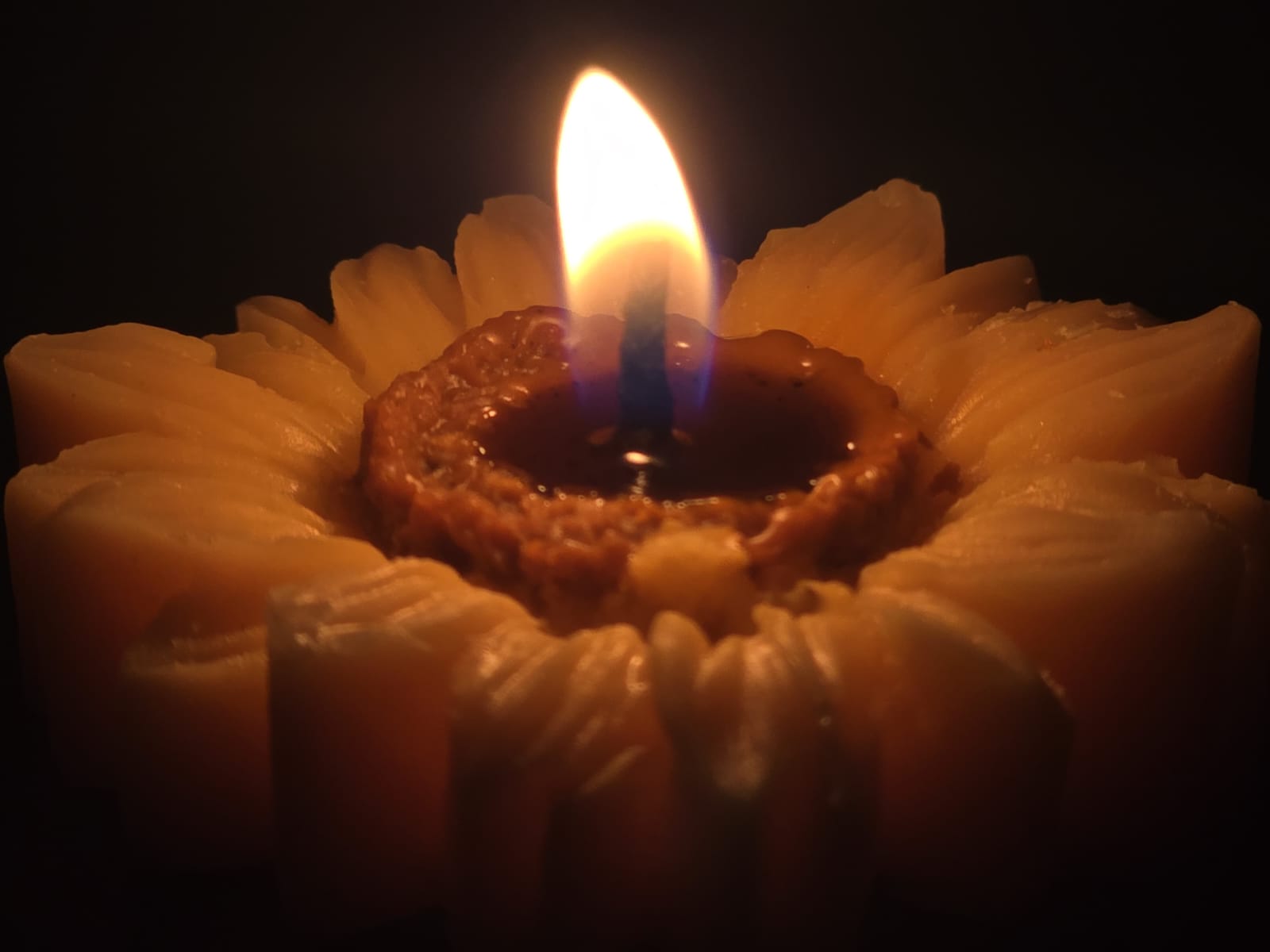 Sunflower magic - Image 2