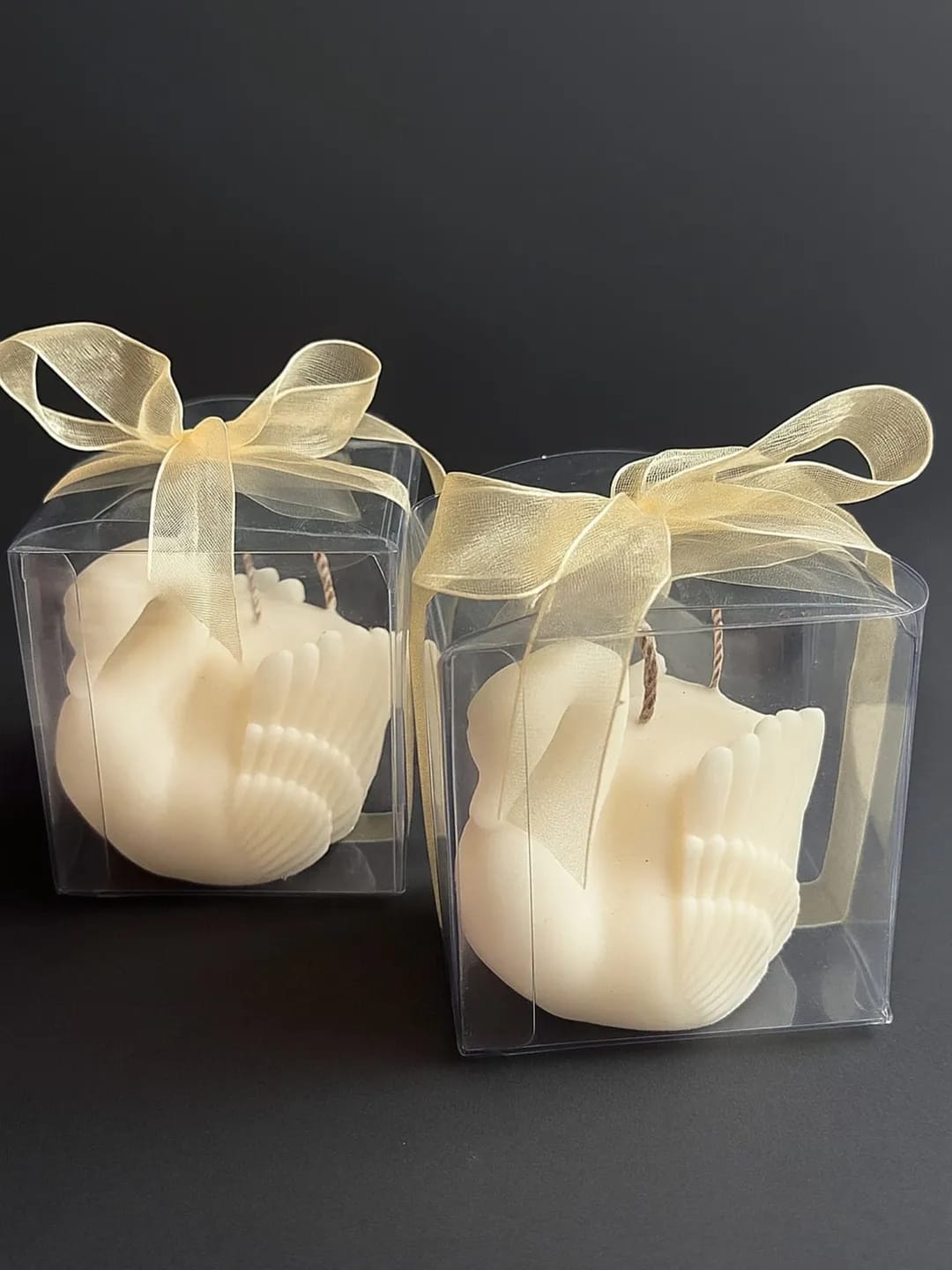 Swan Serenity Duo - Image 6